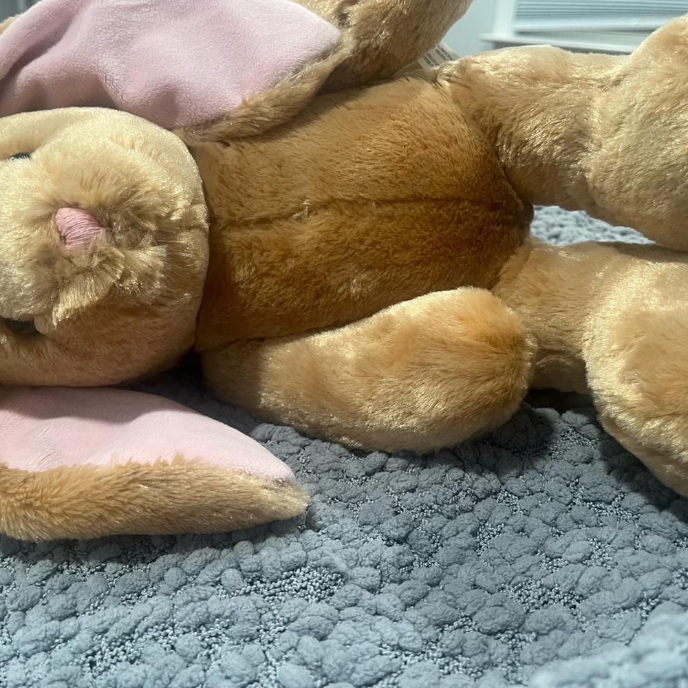 Build-A-Bear Tan and Pink Bunny Plush